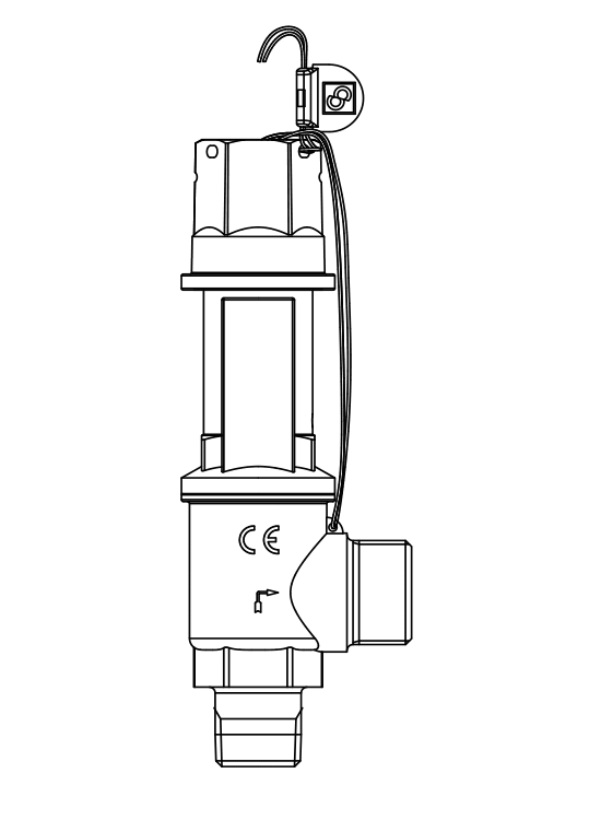 安全閥3030/88C,螺紋接口